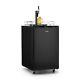 Fridge Refrigerator Gas Beer Keg Dispenser Set Co2 Barrels 50 L 173 L Portable