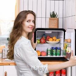 Home Fridge Portable Refrigerator with Adjustable Temperature & Reversible Door